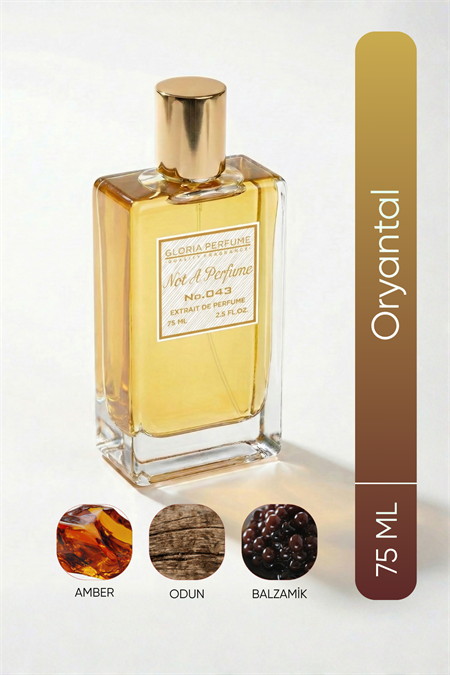 Not A Perfume 75 Ml Edp Kadın Parfüm - Gloria Perfume