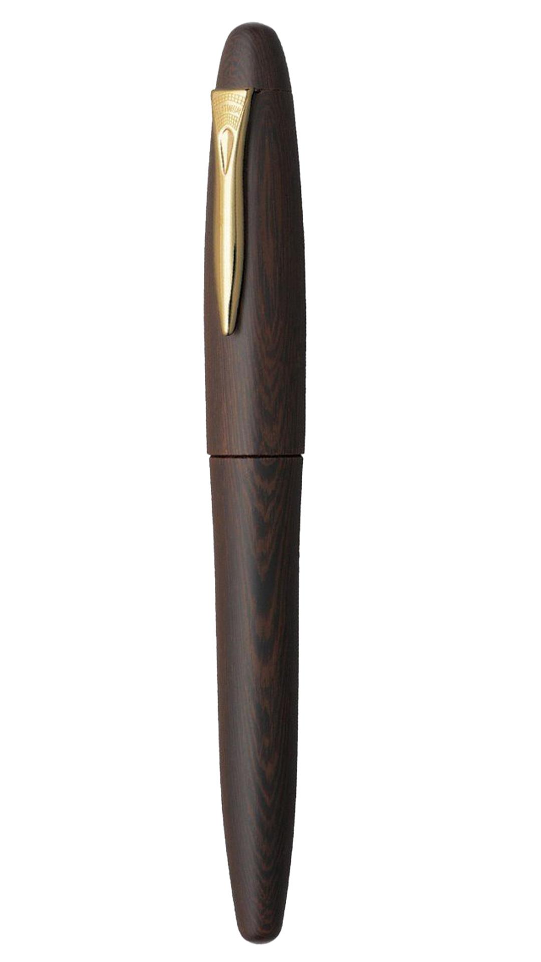 Platinum Matte Tagayasan Fountain Pen