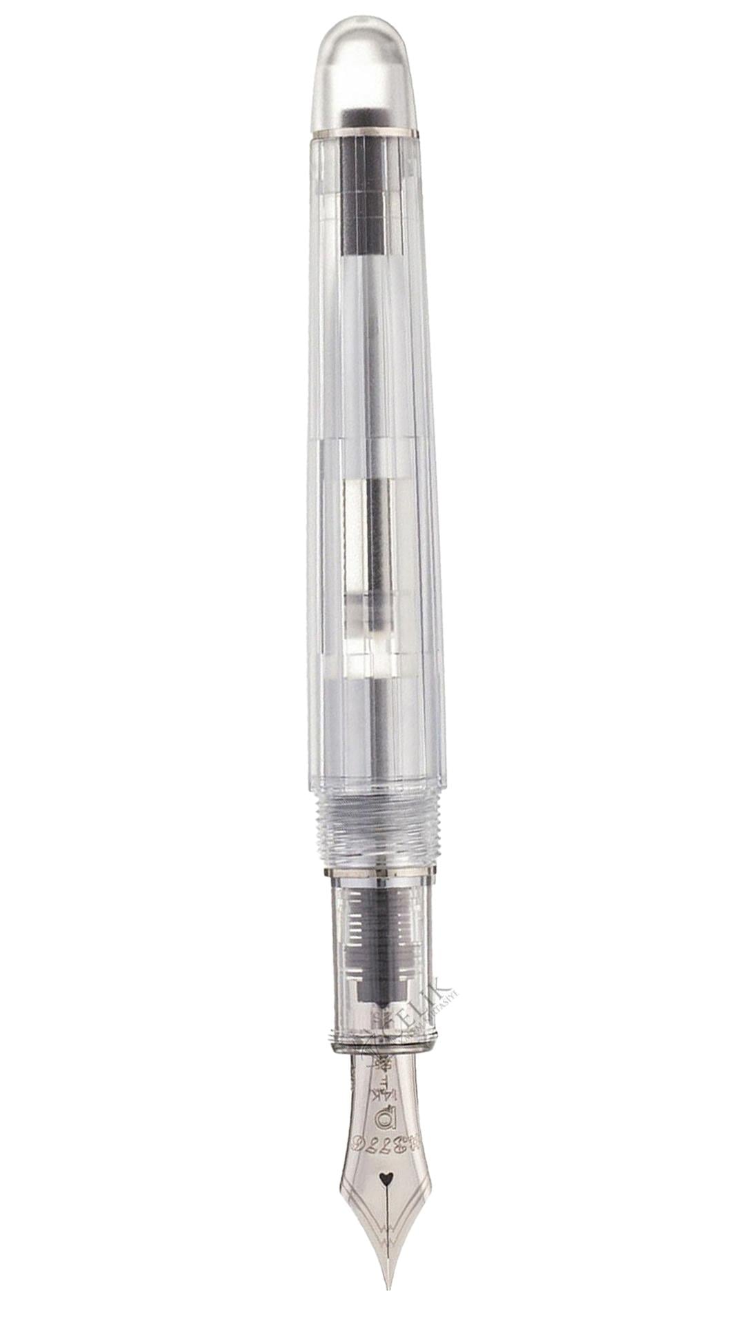 Platinum PNB 20000R #3776 Century Nice Pur Demonstrator Dolma Kalem