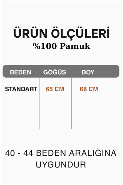 Kadın İtalyan Çiçek Nakışlı Fistolu Katlanır Uzun Kollu Oversize Poplin Gömlek 40 - 44 Beden