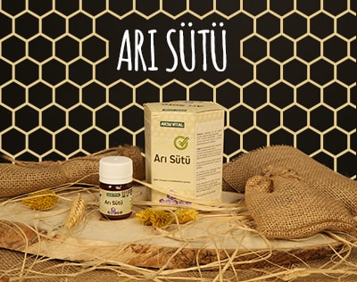 Arı Sütü