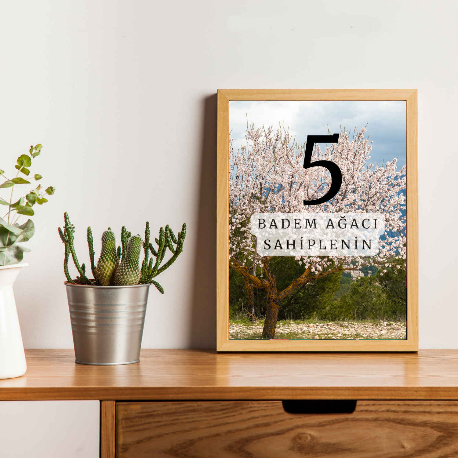 5 Ağaç Bakım Paketi
