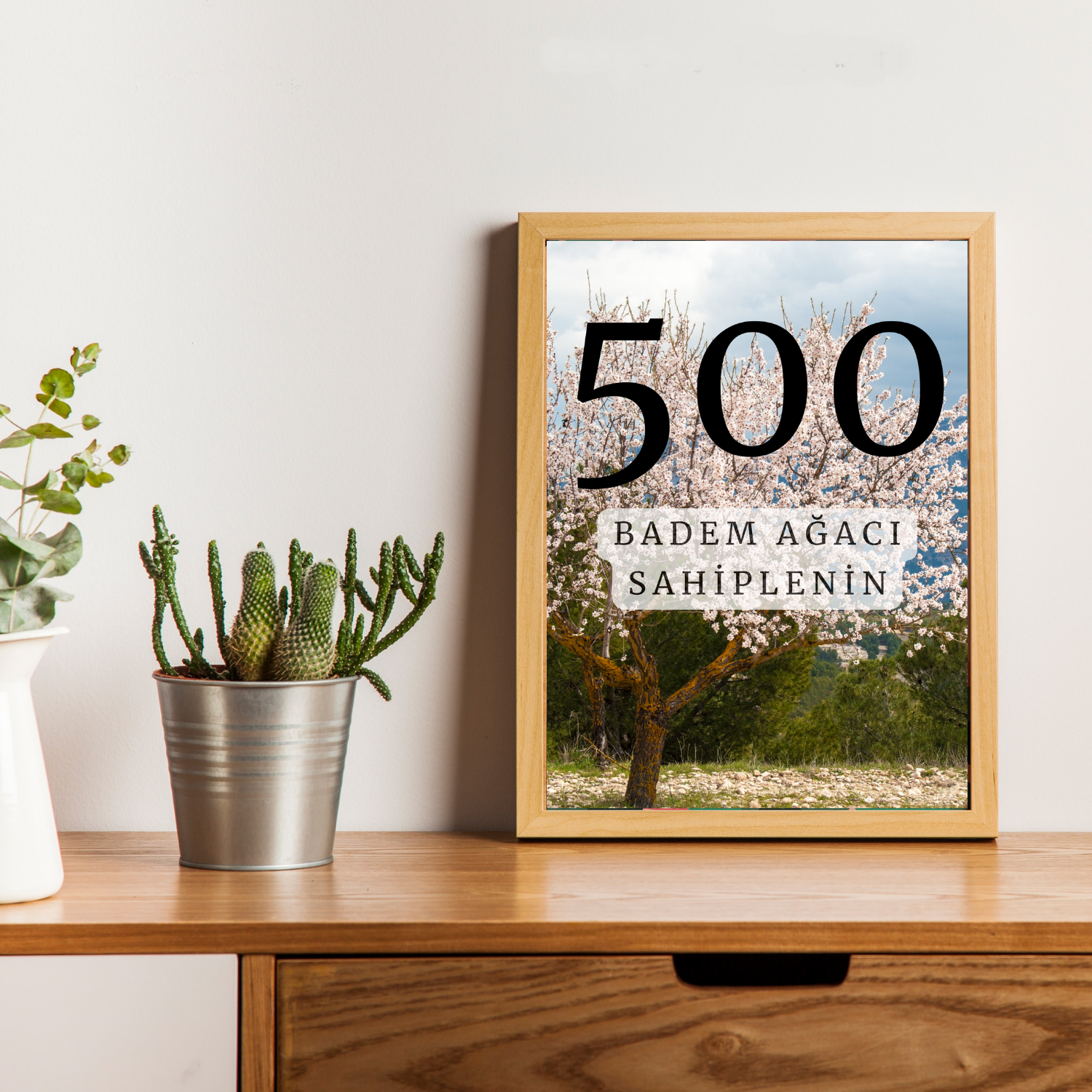 500 Ağaç Bakım Paketi