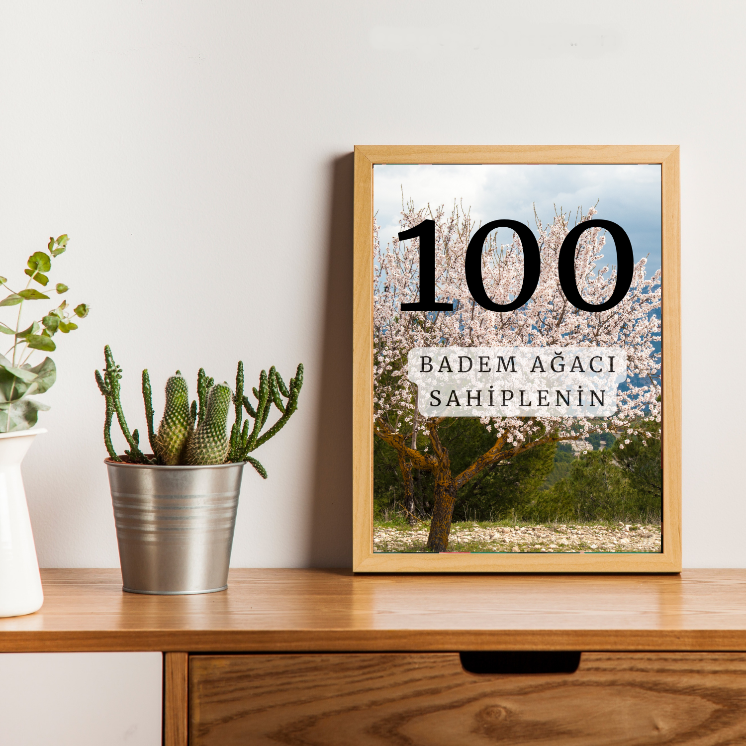 100 Ağaç Bakım Paketi