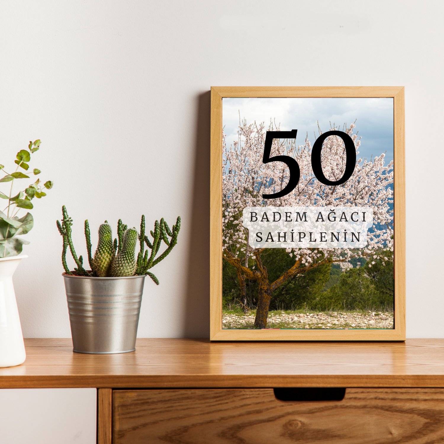 50 Ağaç Bakım Paketi