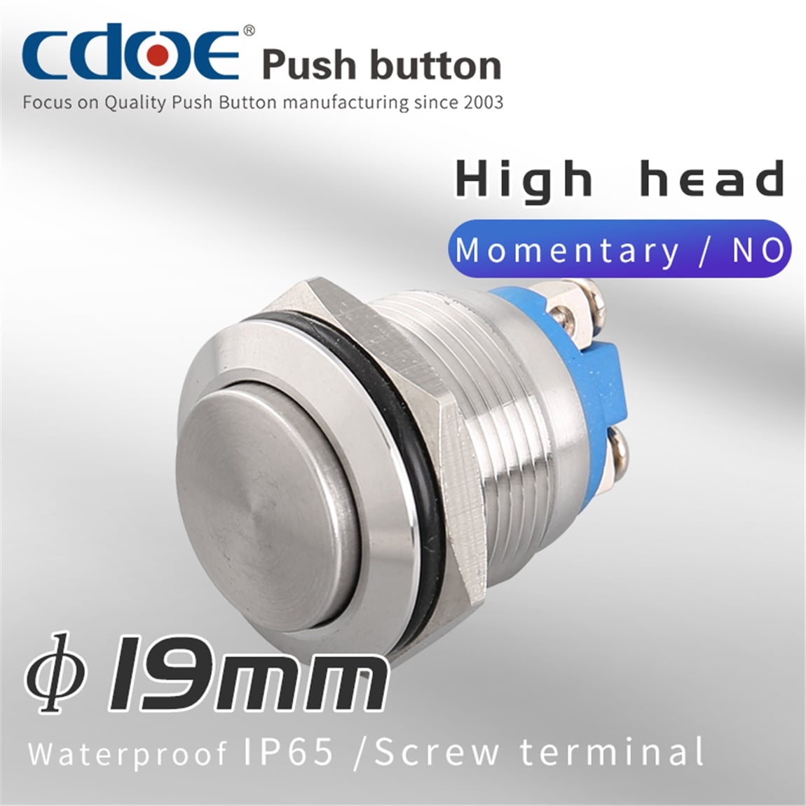19mm Metal Buton Çıkık Paslanmaz/Çelik IP65 5A 250VAC 2P 1No