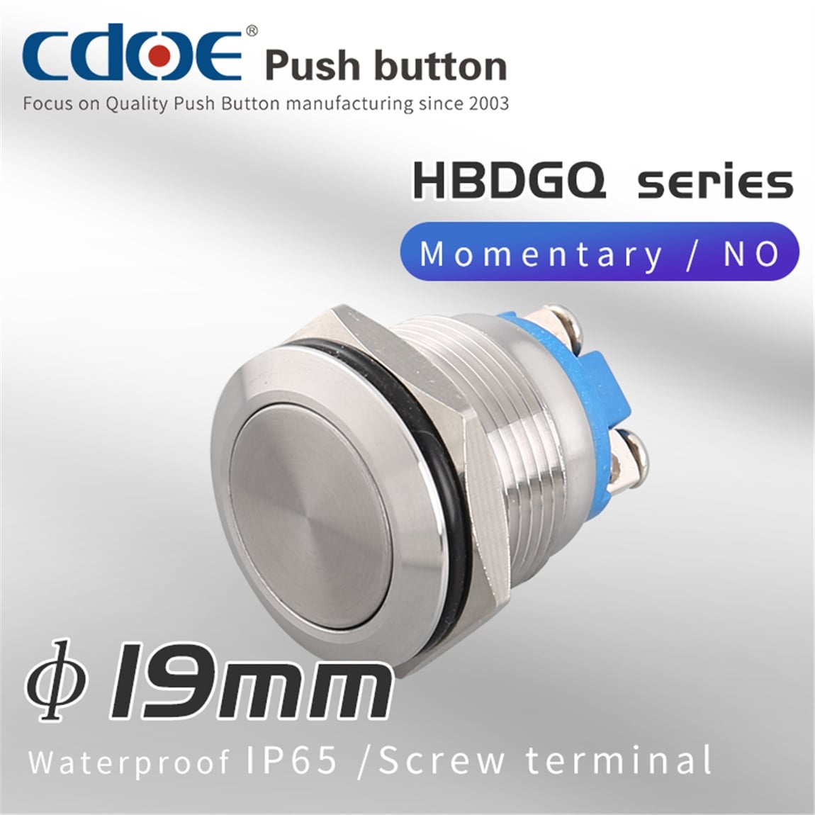 19mm Metal Buton Düz Paslanmaz/Çelik IP65 5A 250VAC 2P 1No