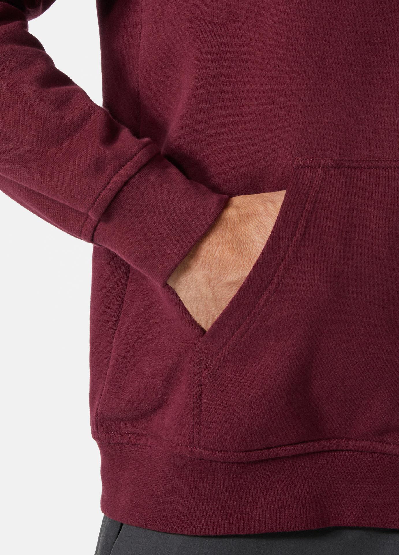HELLY HANSEN LOGO HOODIE KAPİŞONLU