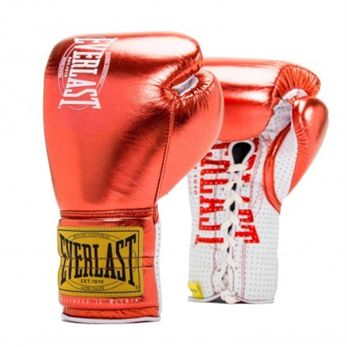 EVERLAST 1910 PRO FIGH GLOVES