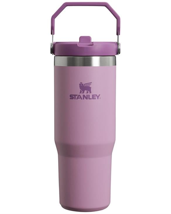 stanley-the-iceflow-flip-straw