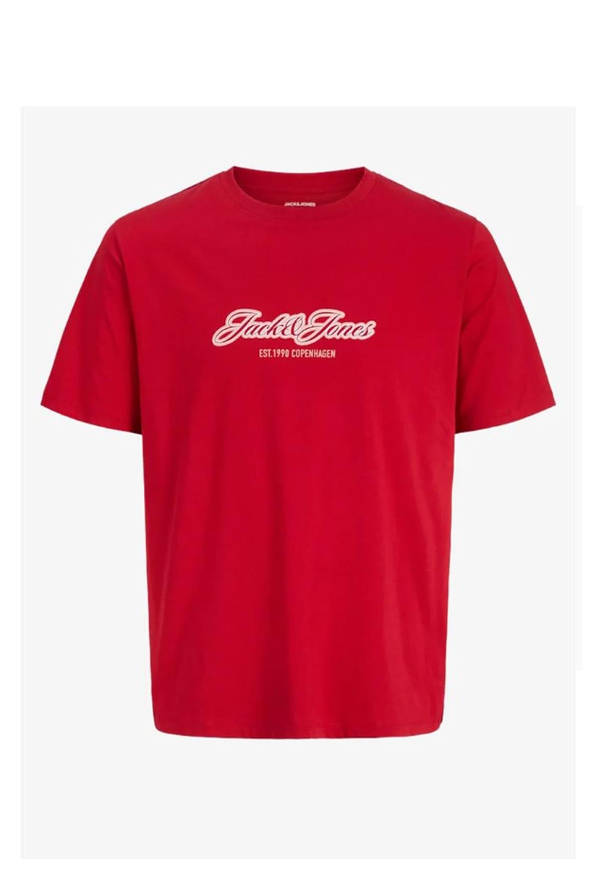 Jack & Jones Jorcatskills Çocuk Tişört 12298348