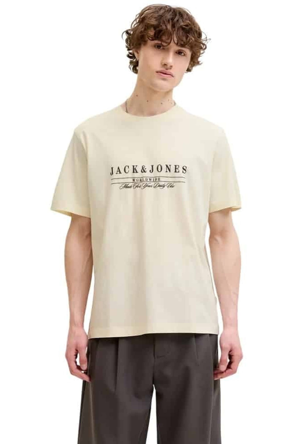 Jack & Jones Jorsavona Erkek Tişört 12310071