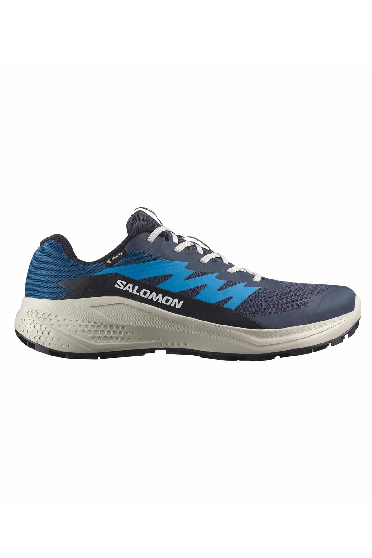 Salomon Alphaglıde Gore-Tex Erkek Patika Koşusu Ayakkabısı