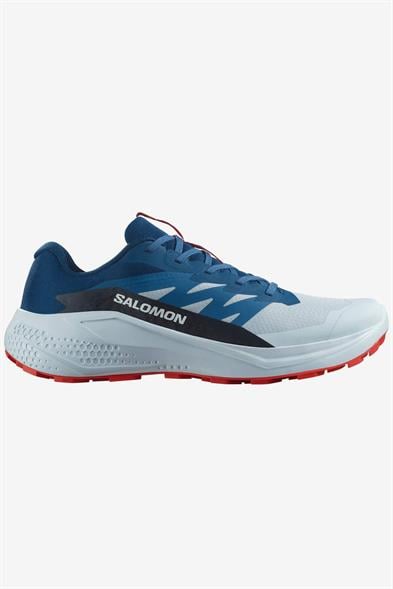 Salomon Alphaglide Erkek Patika Koşusu Ayakkabı L47724300