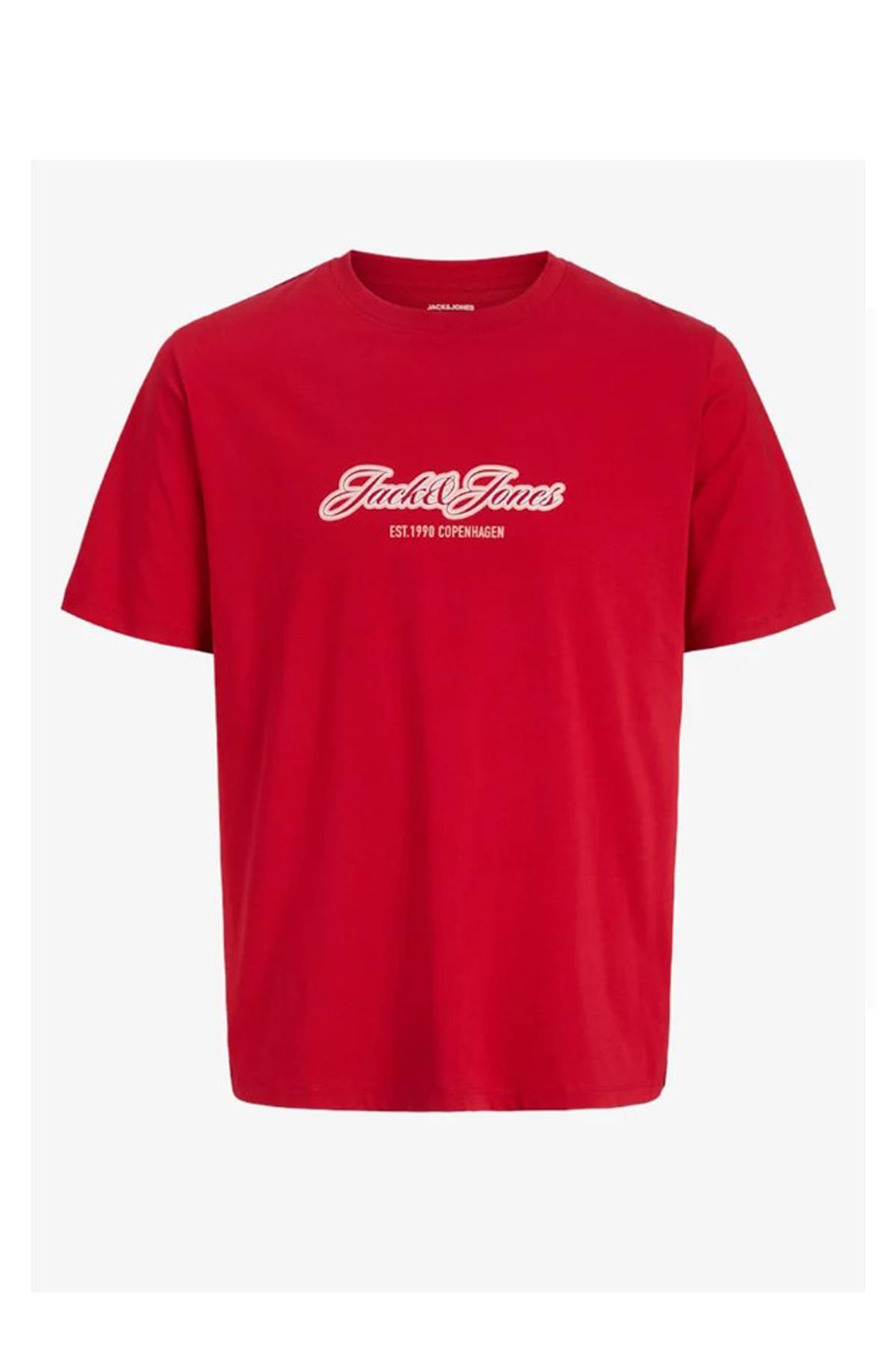 Jack & Jones Jorcatskills Çocuk Tişört 12298348