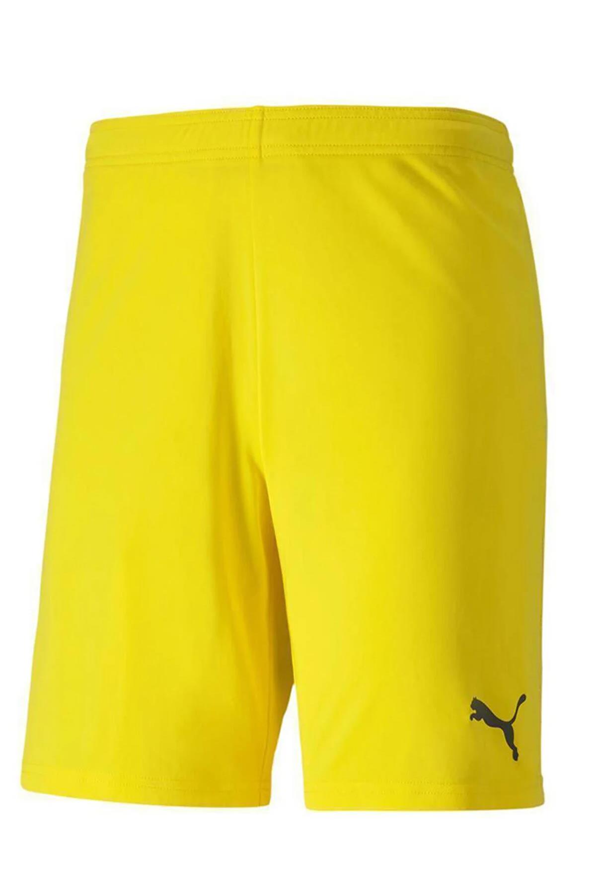 Puma Team Goal Erkek Antreman Şort 70426207