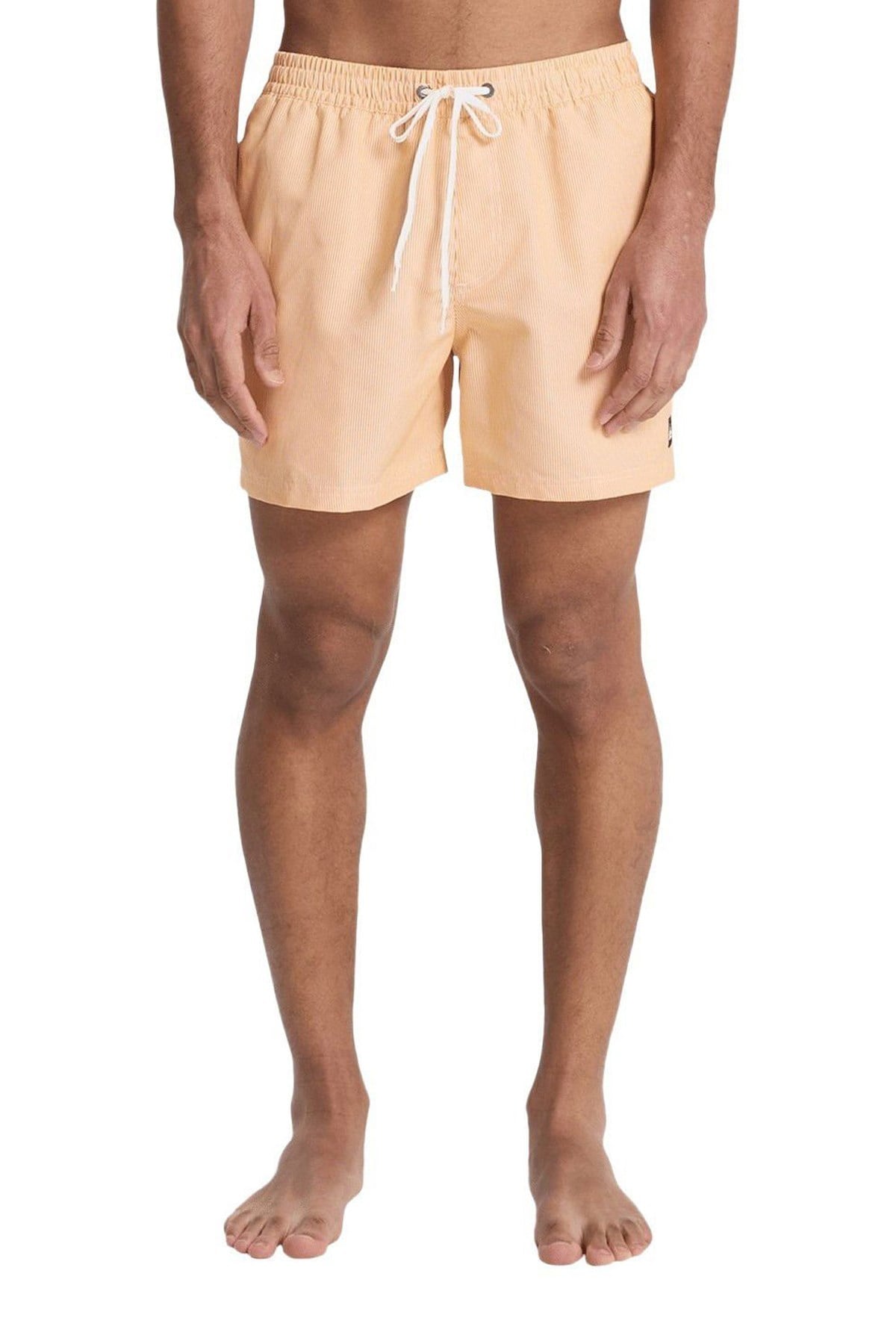 Quiksilver Deluxe 15 Erkek Deniz Şortu EQYJV04101-3091