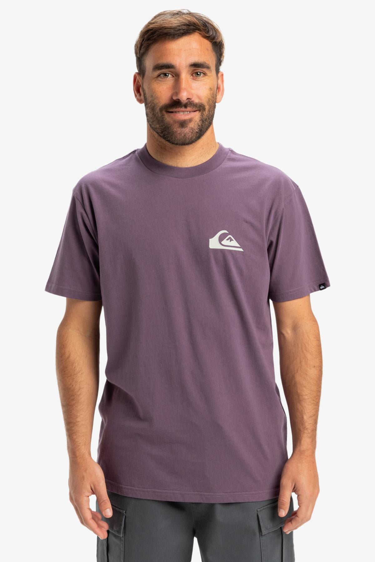 Quiksilver Ev Mini Logo Erkek Tişört
