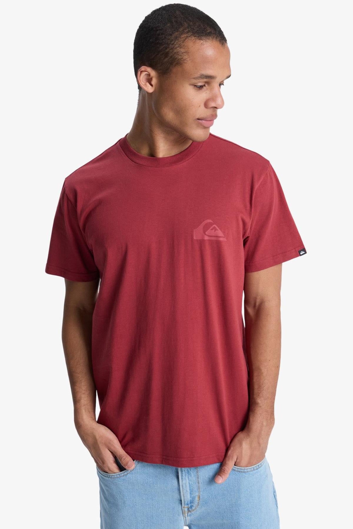 Quiksilver Ev Mini Logo Erkek Tişört EQYZT08181-RQZ0