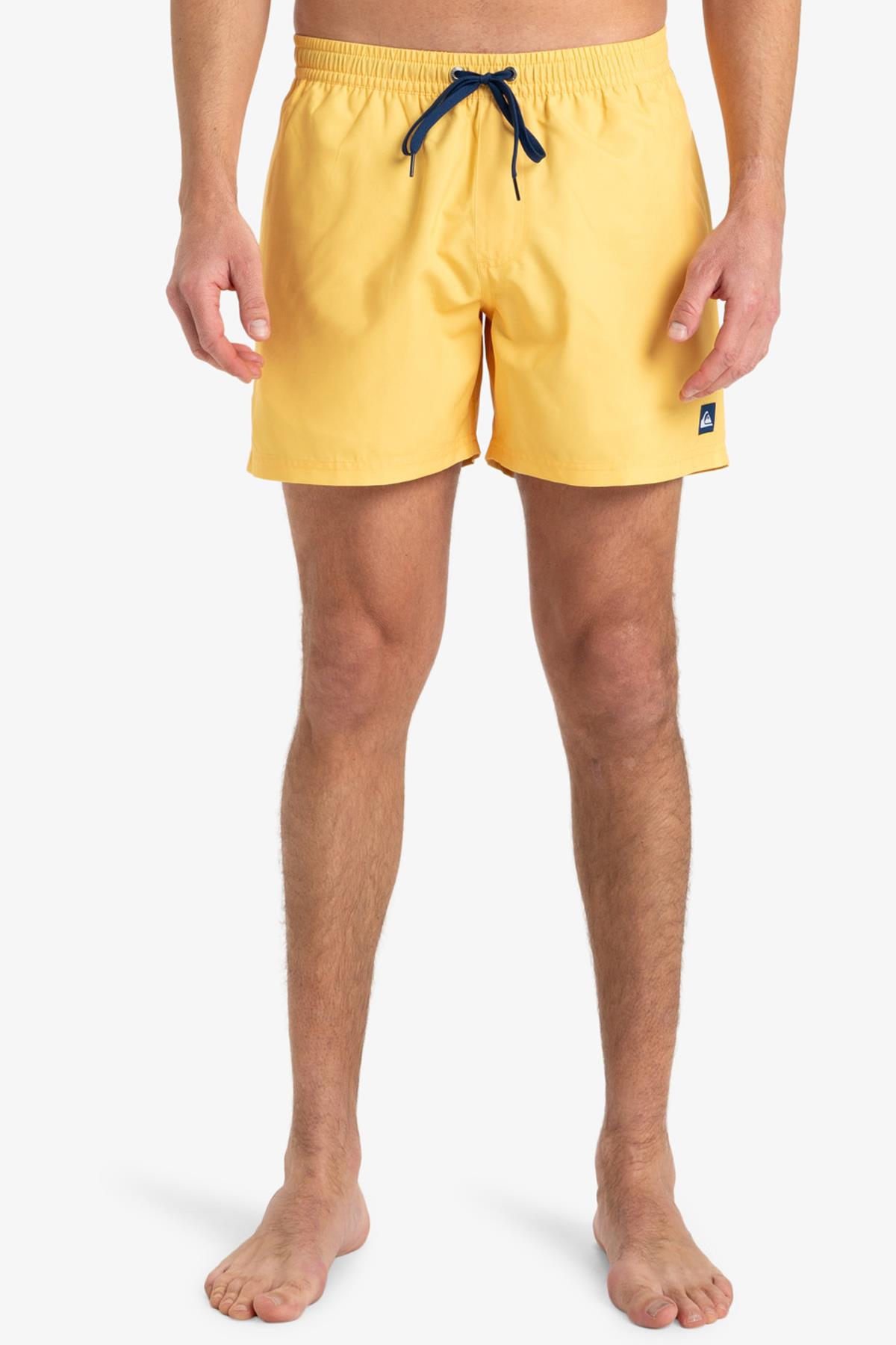 Quiksilver Everyday Solid Erkek Deniz Şortu