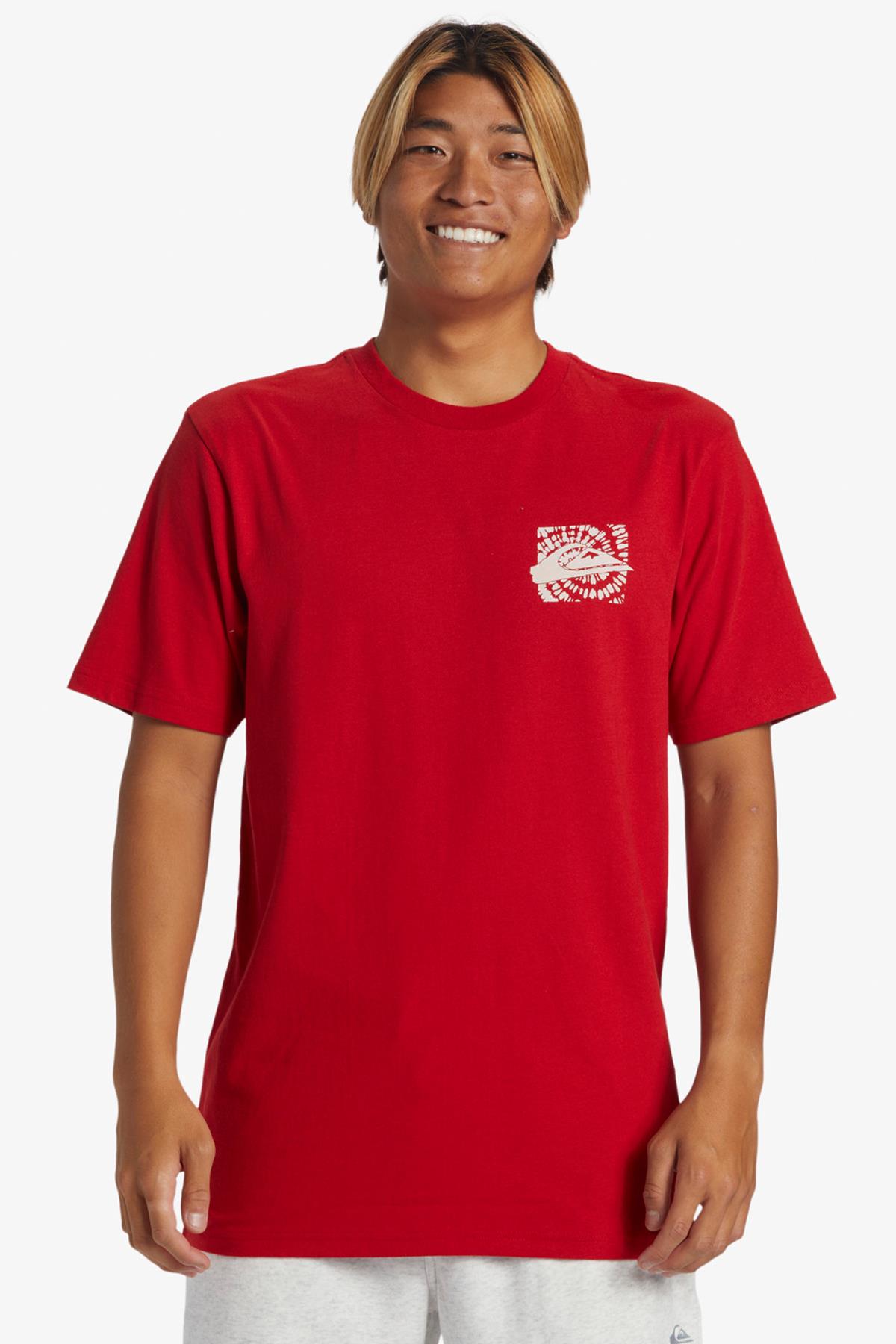 Quiksilver Hurricane Or Hippie Moe Erkek Tişört AQYZT09540-30051