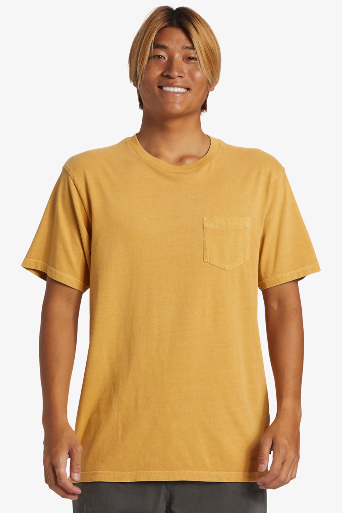 Quiksilver Salt Water Erkek Tişört AQYZT09558-69