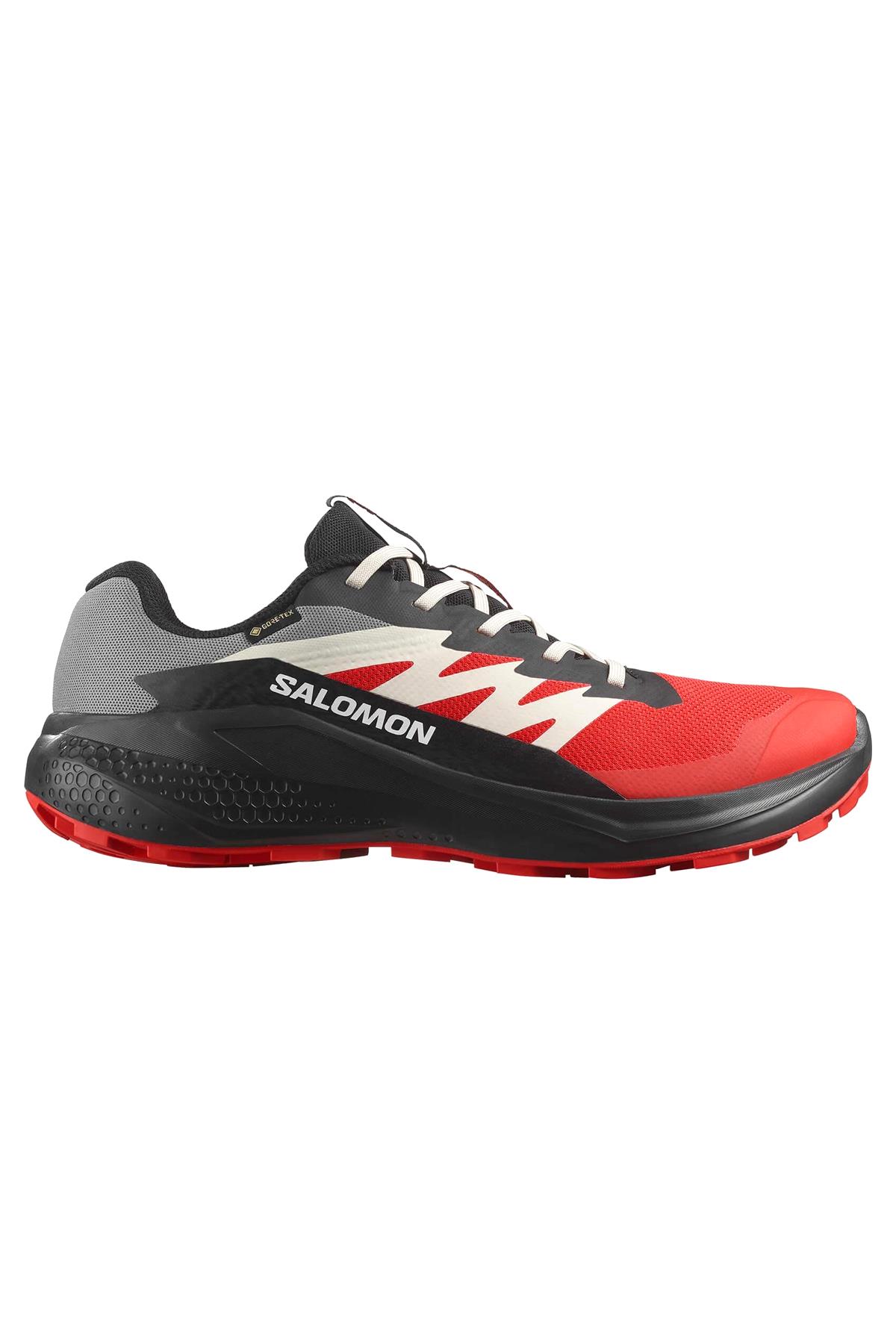 Salomon Alphaglıde Gore-Tex Erkek Patika Koşusu Ayakkabısı
