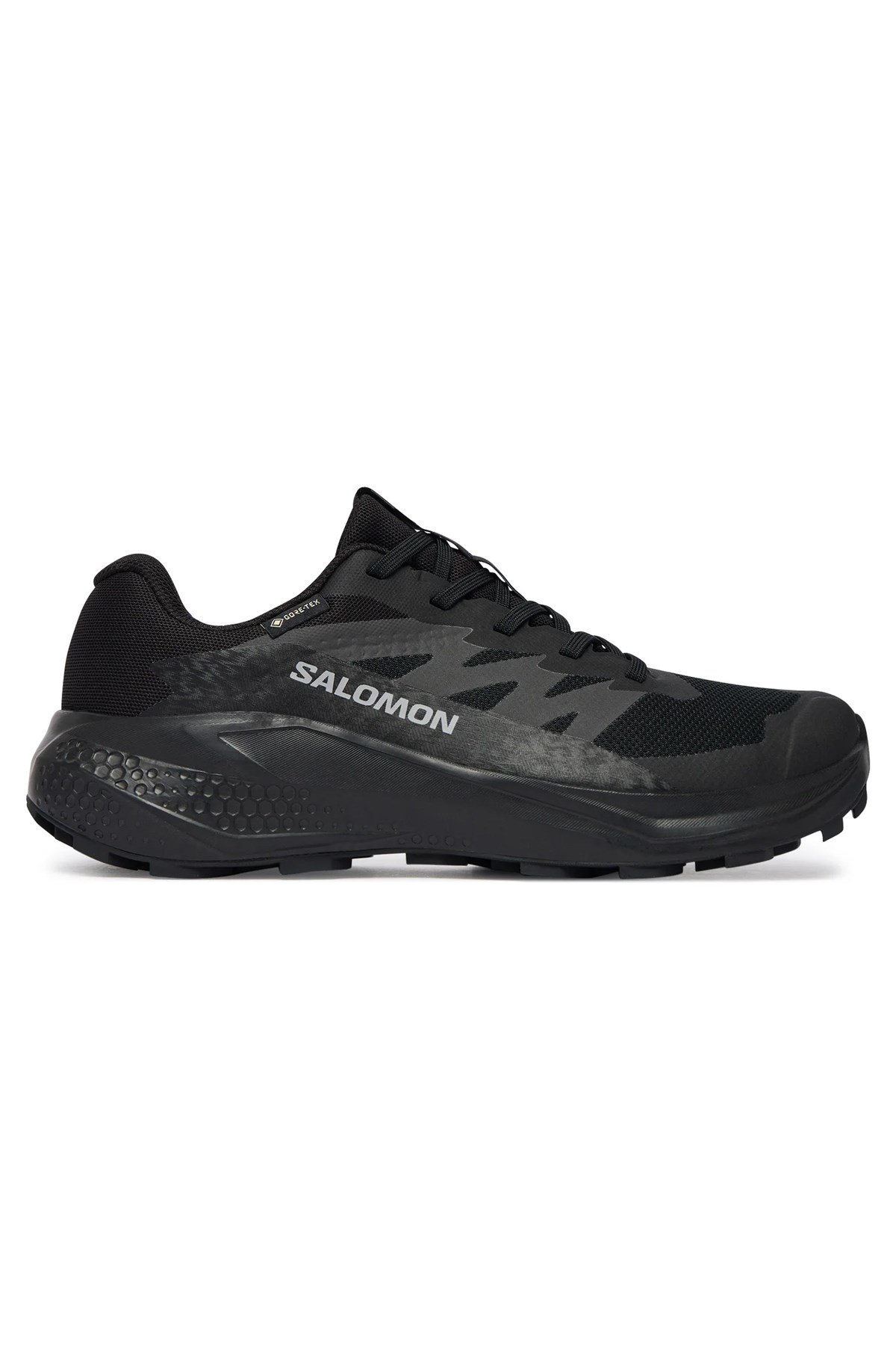 Salomon Alphaglide GTX Kadın Outdoor Ayakkabı L49214400