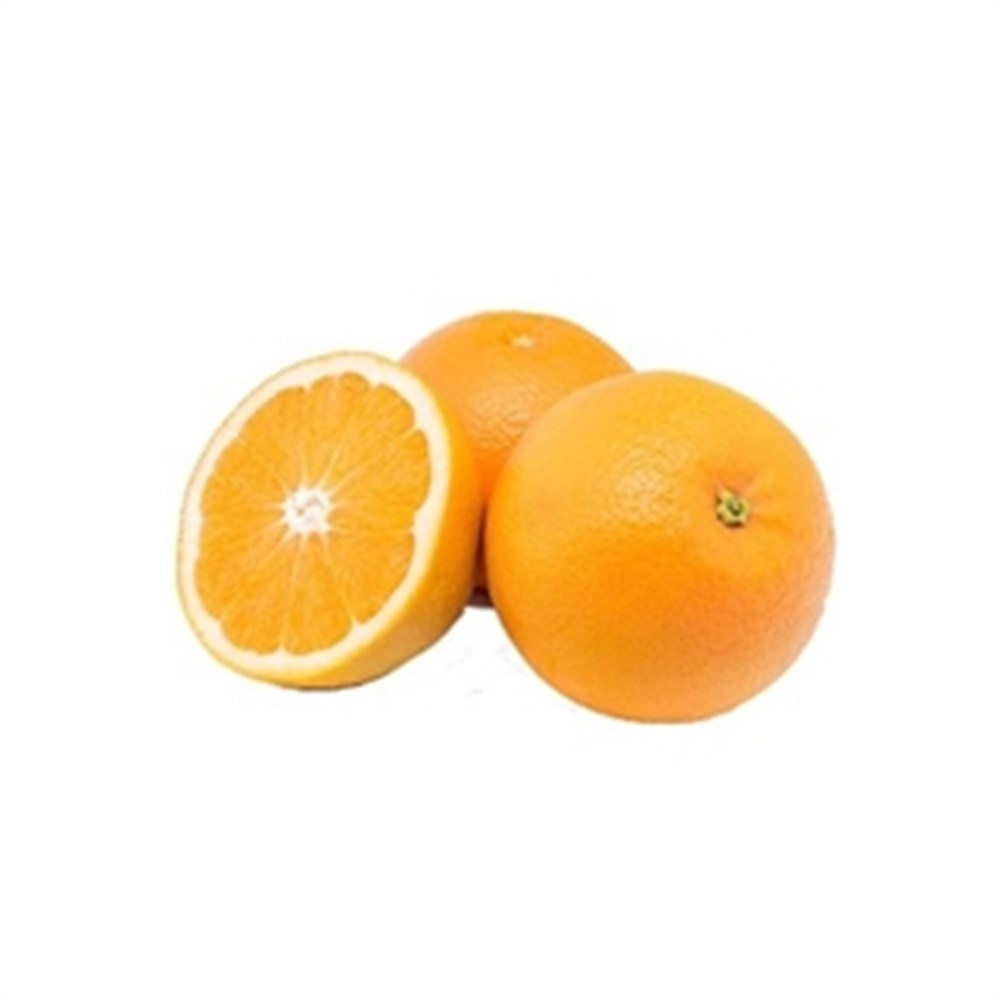 Orange Valencia Egypt