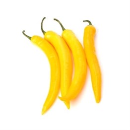 Chilli Yellow Long Holland