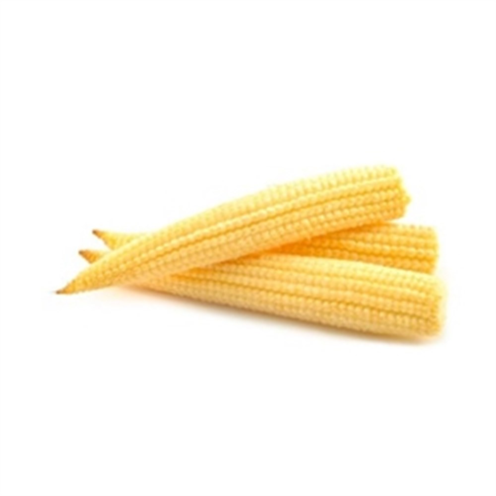 Baby Corn Thailand