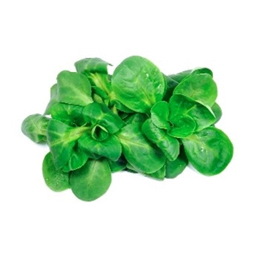 Baby Spinach UAE