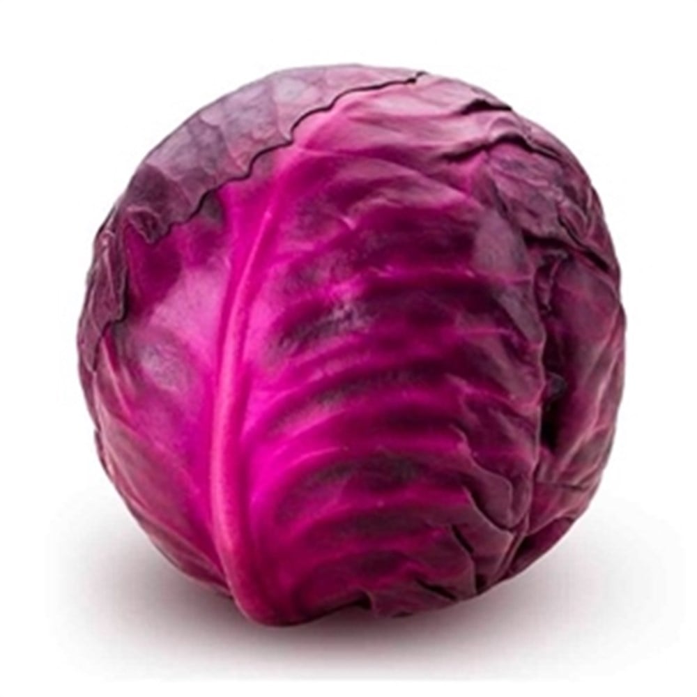 Cabbage Red UAE