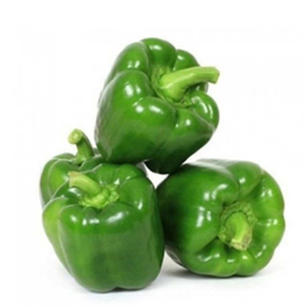 Capsicum Green UAE 5Kg