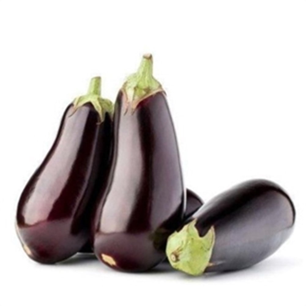 Eggplant Holland
