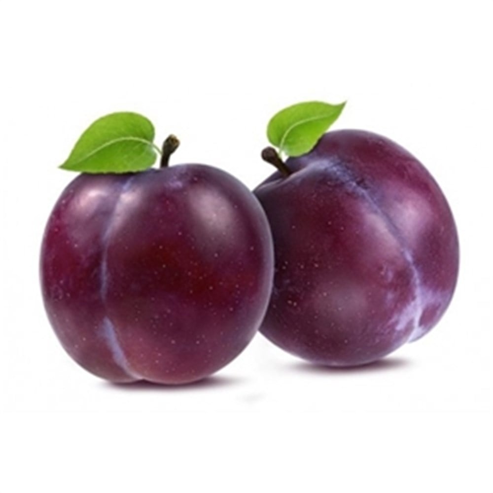 Plumps Black Australia