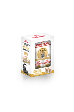 Royal Canin British Shorthair Yetişkin Kedi Maması 2 kg + 2 Adet Pouch Hediyeli
