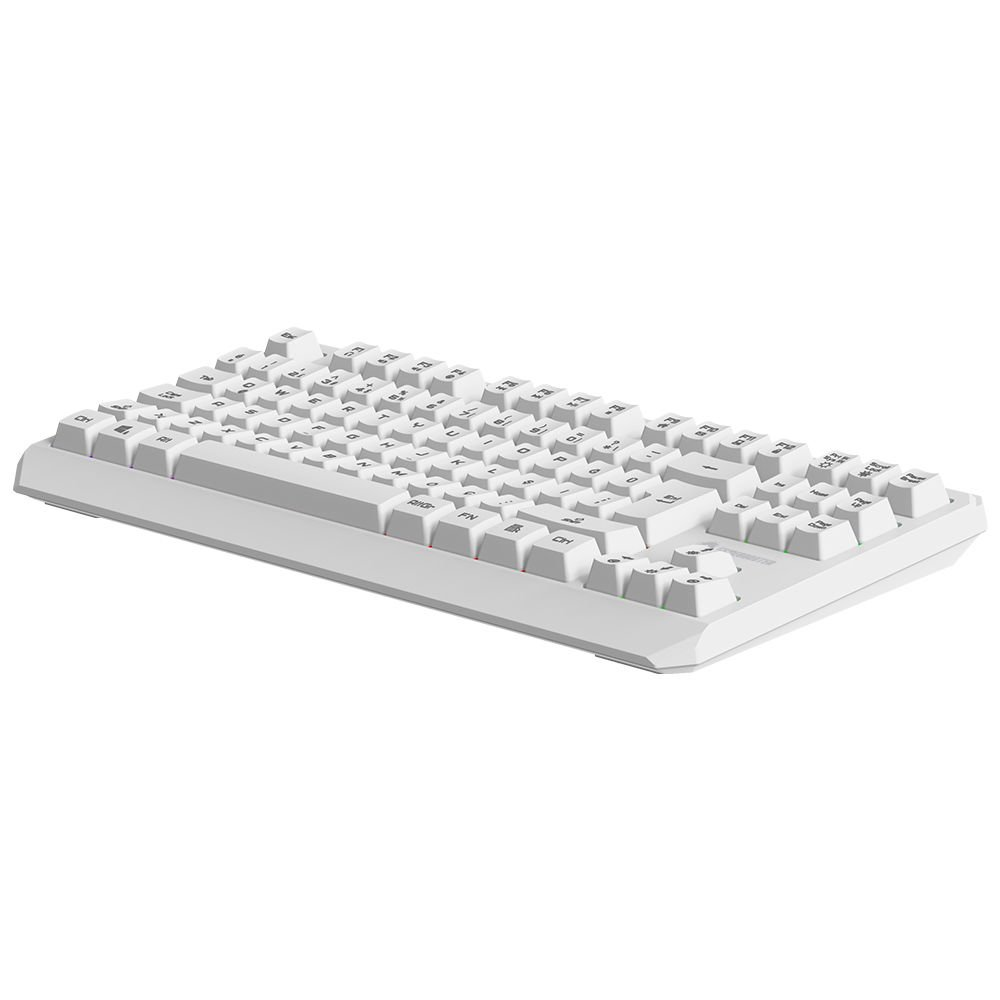 GAMEBOOSTER G75 ELYA Rainbow Aydınlatmalı Beyaz TKL Membrane Oyun Klavyesi