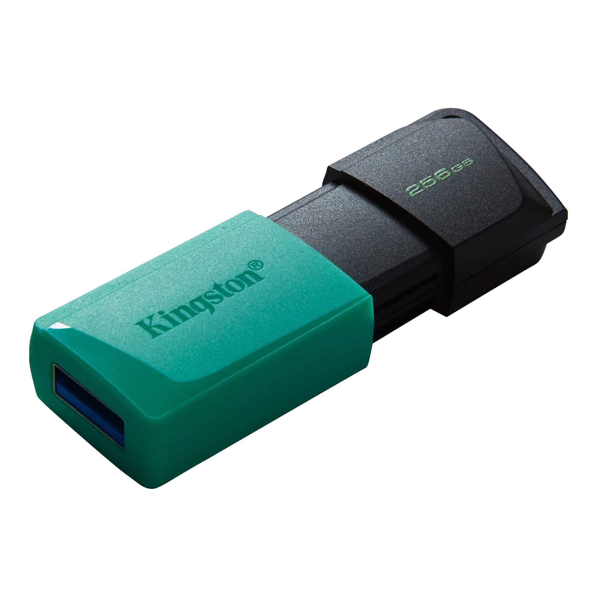 KINGSTON 256 GB USB3.2 BELLEK DTXM/256GB