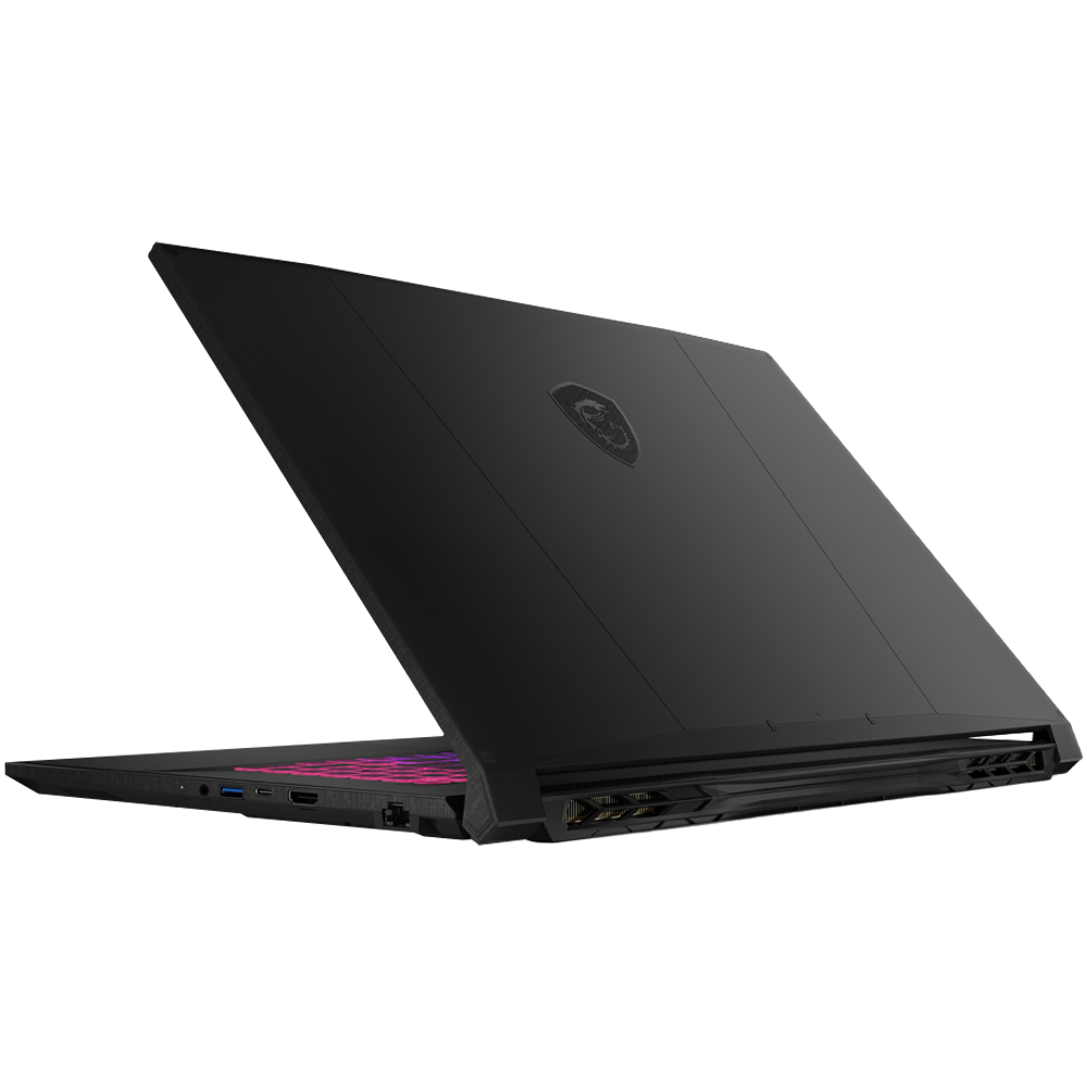MSI 17.3