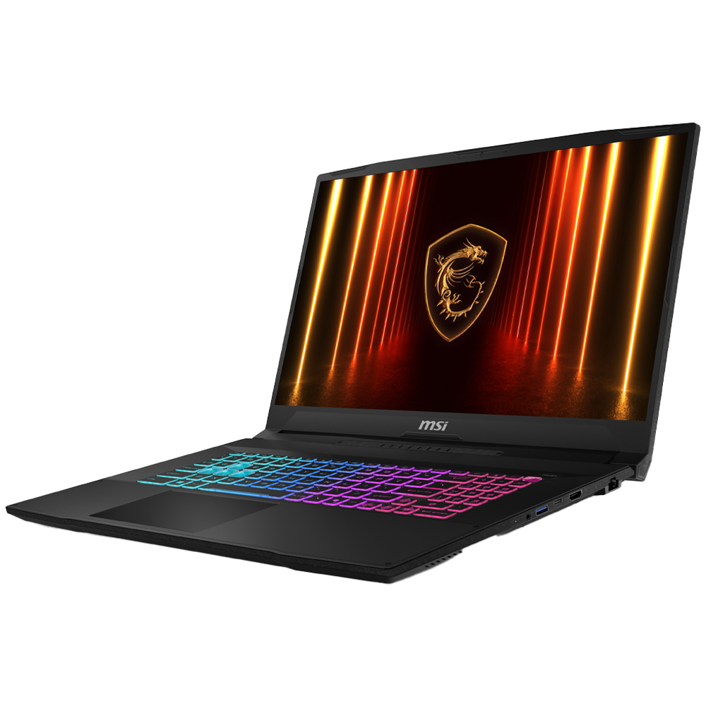 MSI 17.3