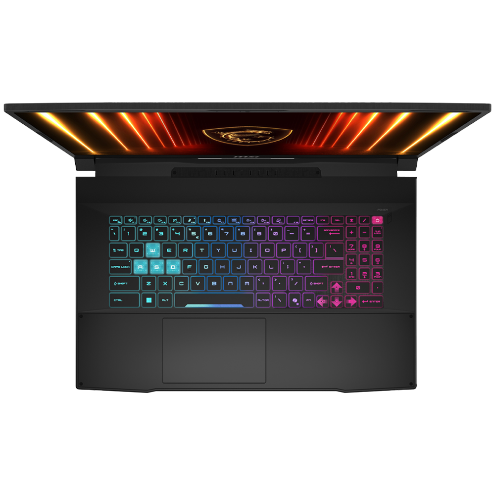 MSI 17.3