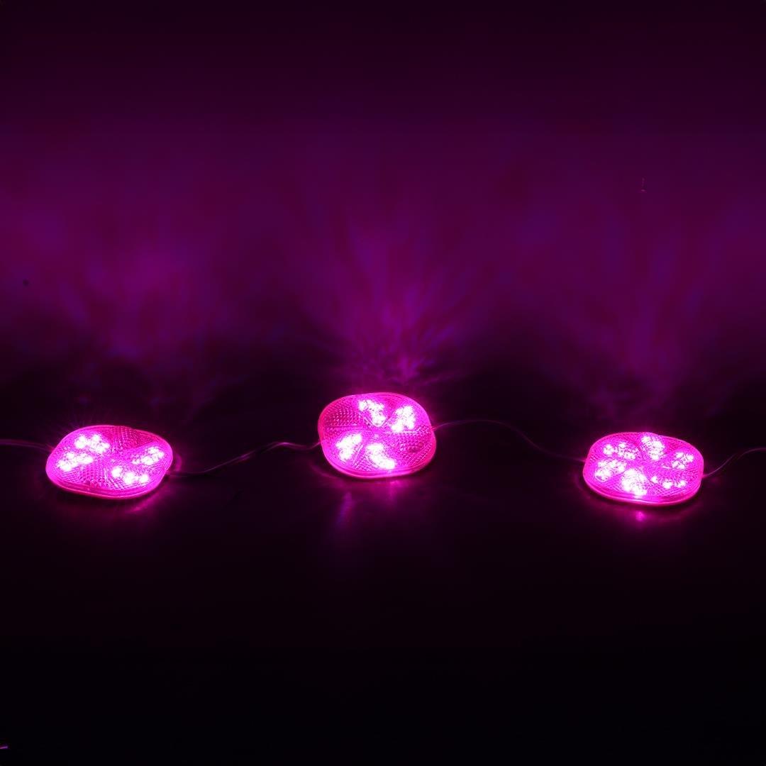 PowerMaster PM-14701 12 Volt 3 Watt Pembe Yanıp Sönen Çakar 6565-2835 Modül Led 65x65x12mm