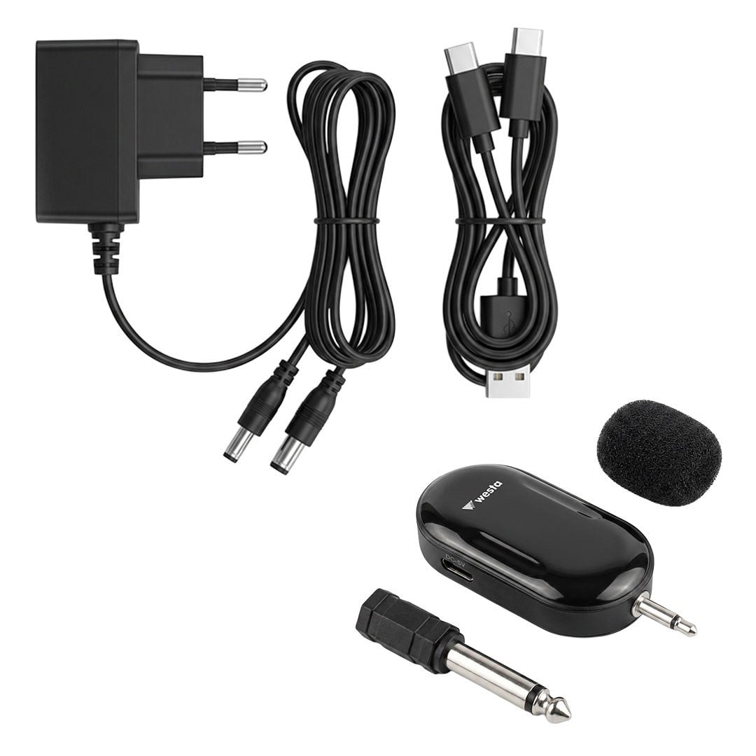 Westa WAP-300T USB + SD Kart Girişli Şarjlı Mini Seyyar Kablosuz Mikrofonlu Rehber Anfisi