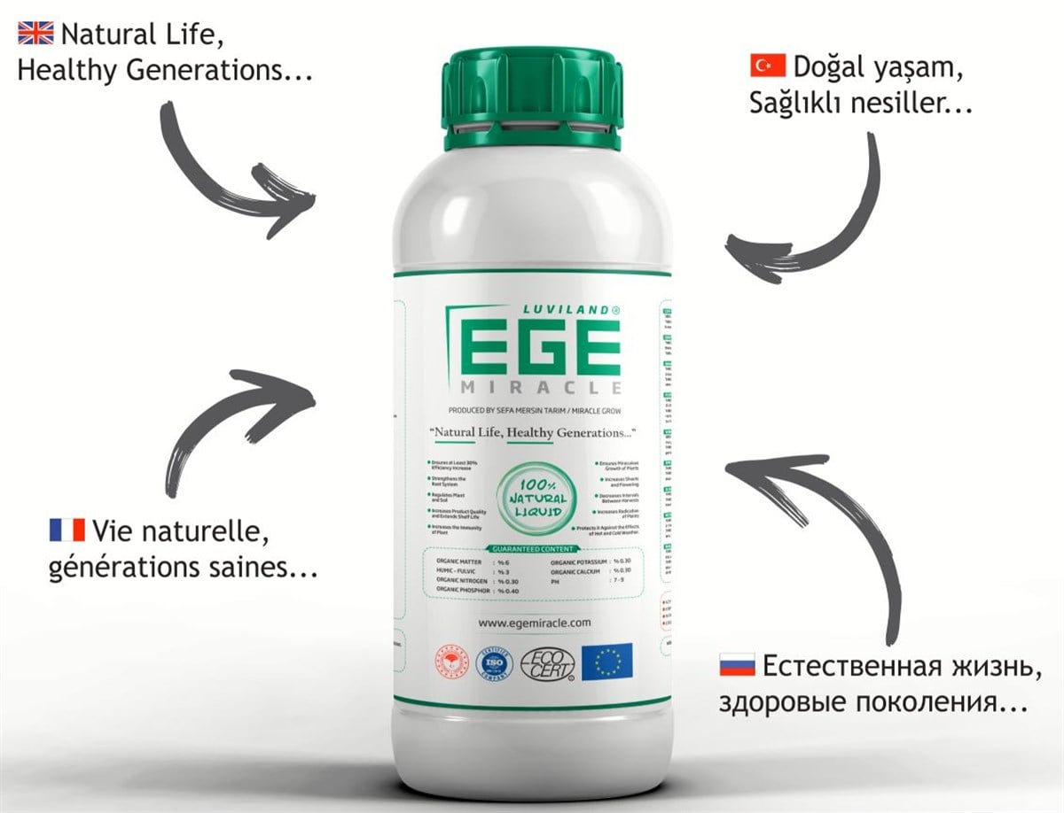 Ege miracle ege miracle Ege Miracle 