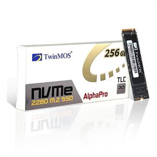 256 GB TWINMOS M.2 PCIE NVME NVMEEGBM2280