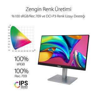 ASUS PROART PA247CV 24.1