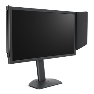 BENQ 24.1