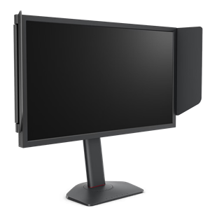 BENQ 24.1