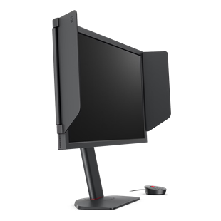 BENQ 24.1